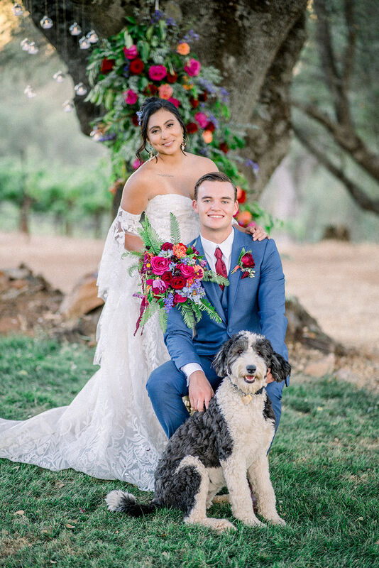Indigo Blue Lane Tuxedo